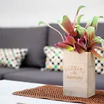 Casa Sara *